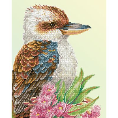 kooka.jpg