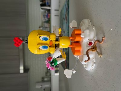 IMG_6694.jpeg