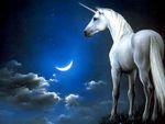 unicorn.jpg